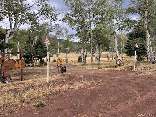 MLS Image #1 for 2876  fery loop,fort garland, Colorado