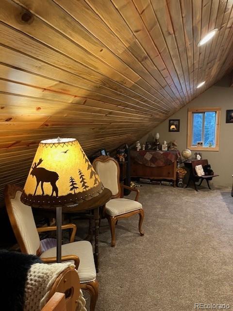 MLS Image #39 for 2876  fery loop,fort garland, Colorado