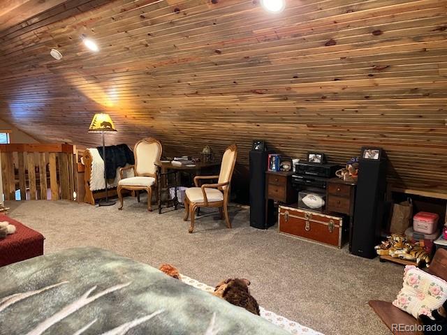 MLS Image #41 for 2876  fery loop,fort garland, Colorado