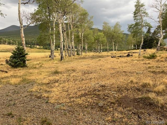 MLS Image #5 for 2876  fery loop,fort garland, Colorado