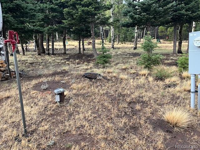 MLS Image #8 for 2876  fery loop,fort garland, Colorado