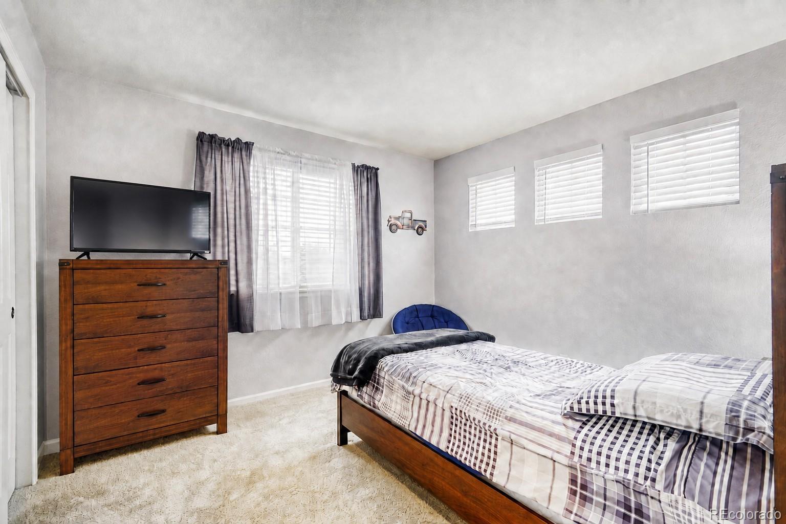 MLS Image #15 for 360  kingbird circle,highlands ranch, Colorado