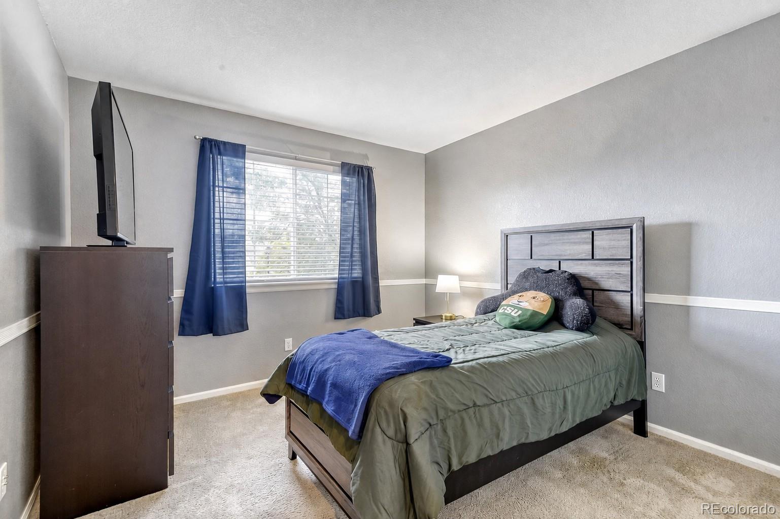 MLS Image #16 for 360  kingbird circle,highlands ranch, Colorado