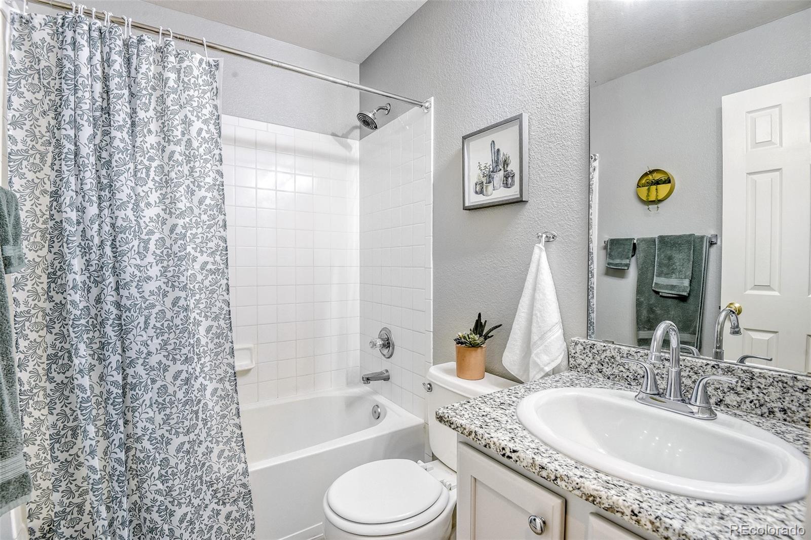 MLS Image #17 for 360  kingbird circle,highlands ranch, Colorado