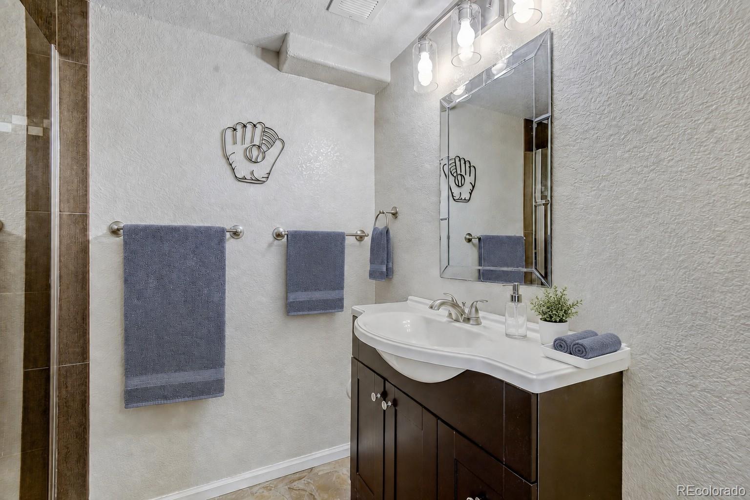 MLS Image #21 for 360  kingbird circle,highlands ranch, Colorado