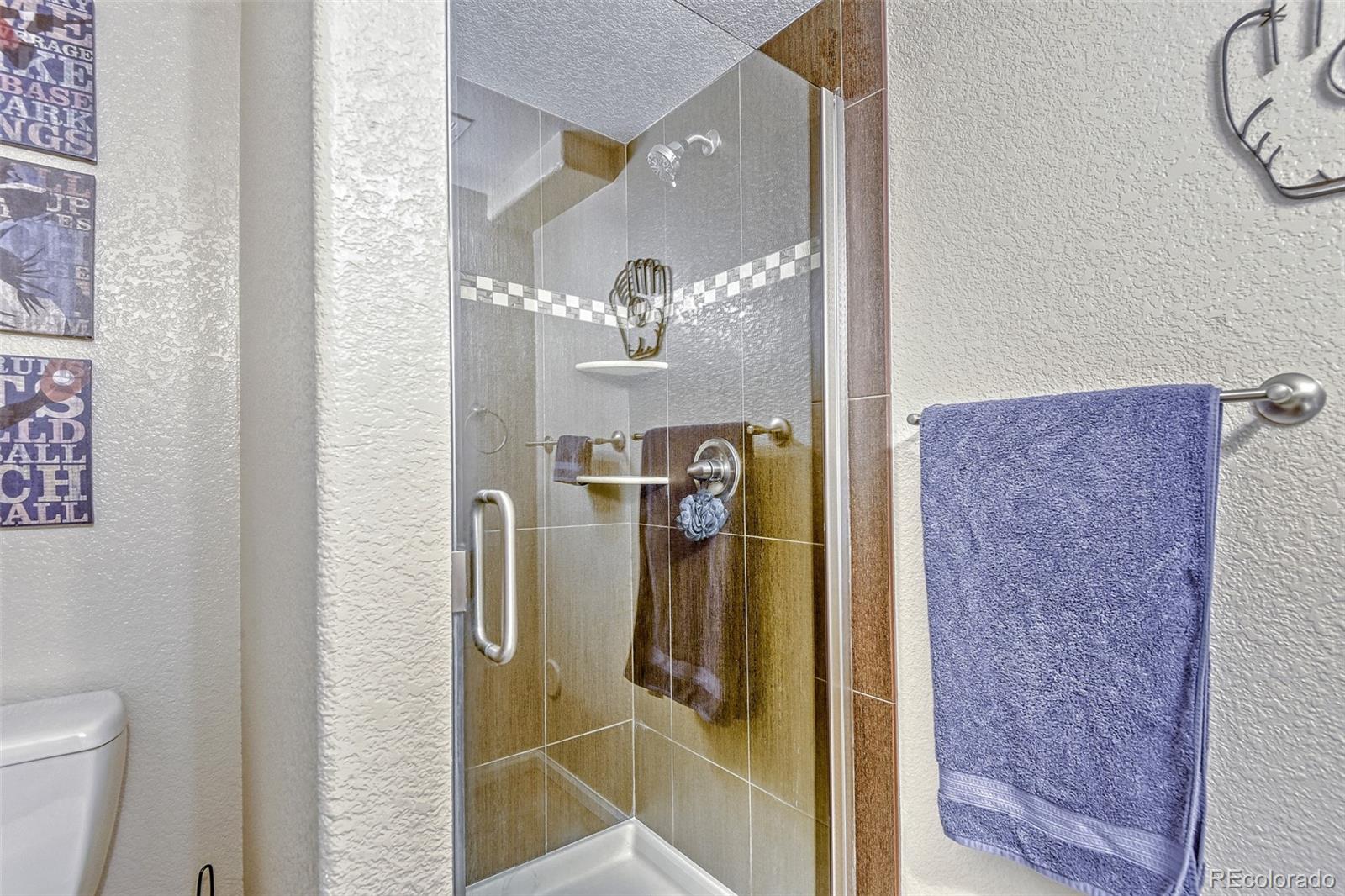 MLS Image #22 for 360  kingbird circle,highlands ranch, Colorado