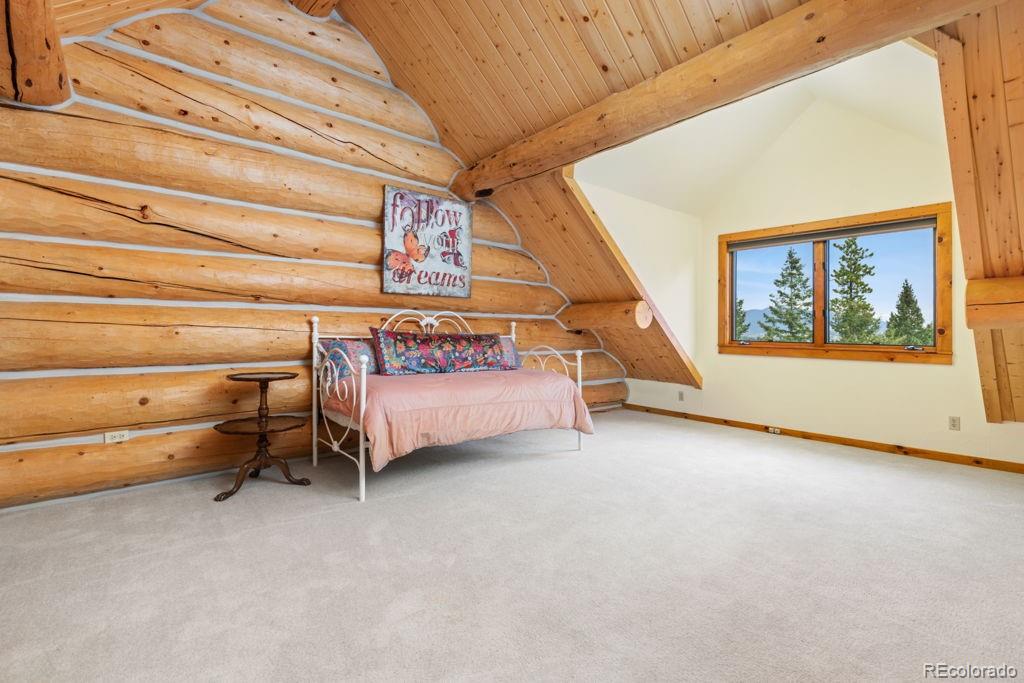 MLS Image #27 for 29413  grayhawk drive,evergreen, Colorado
