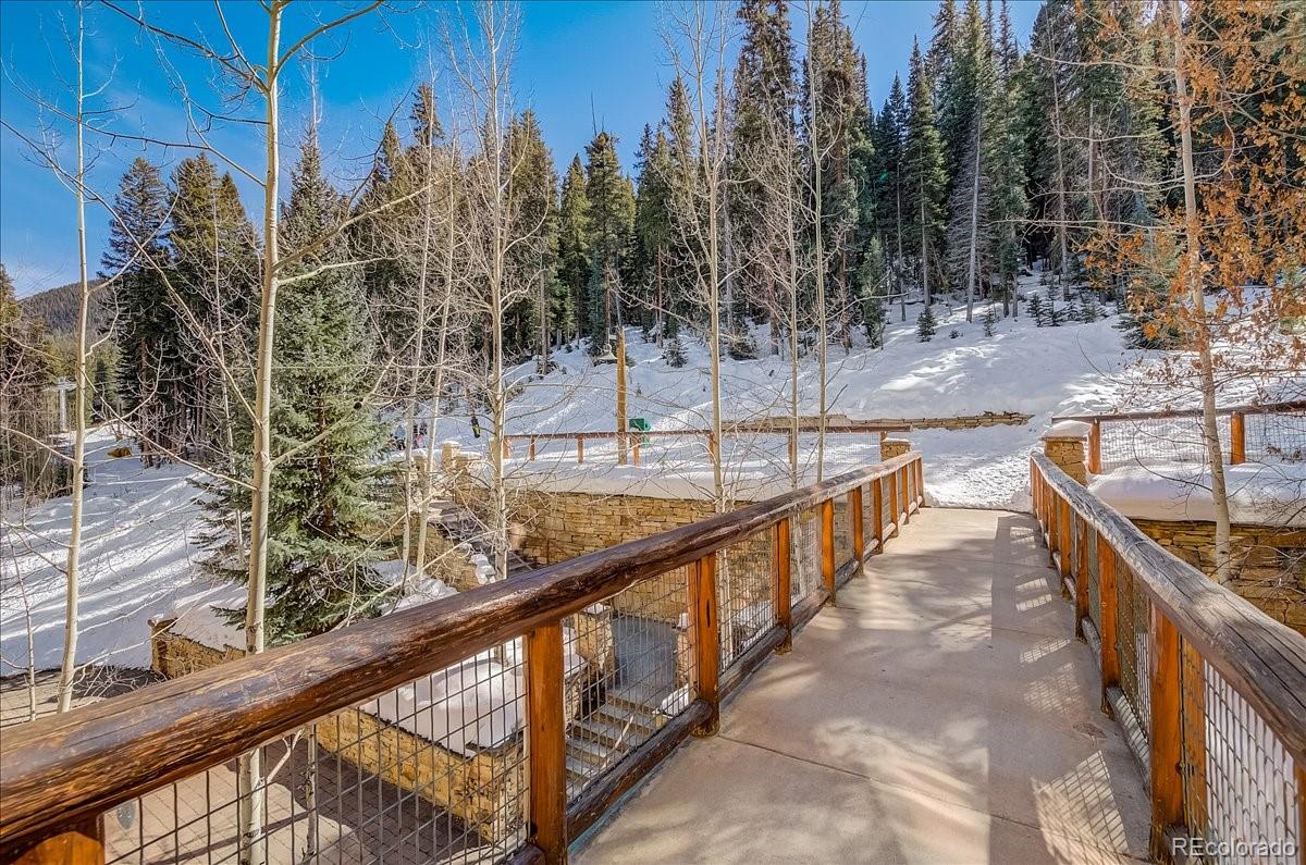 MLS Image #16 for 224  trailhead drive 3064,keystone, Colorado