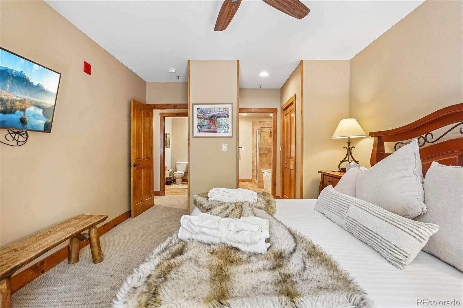 MLS Image #27 for 224  trailhead drive 3064,keystone, Colorado
