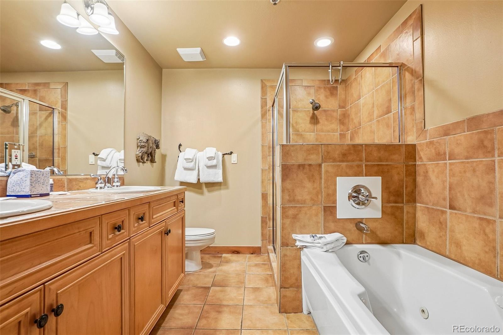 MLS Image #30 for 224  trailhead drive 3064,keystone, Colorado