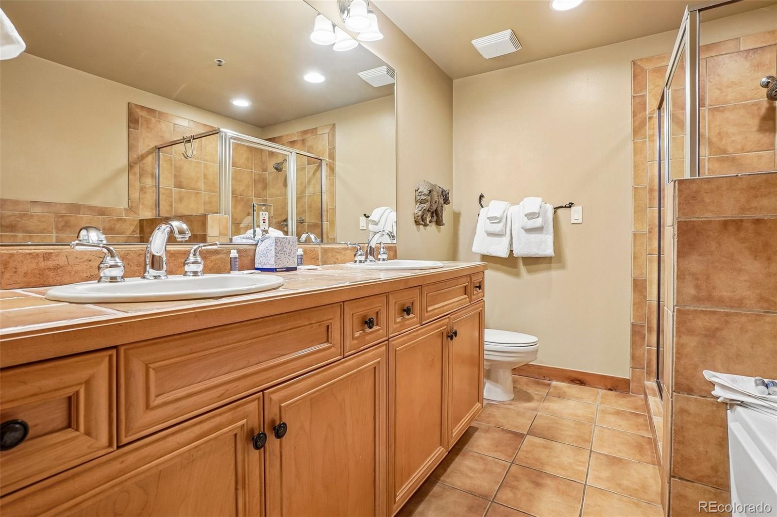 MLS Image #31 for 224  trailhead drive 3064,keystone, Colorado