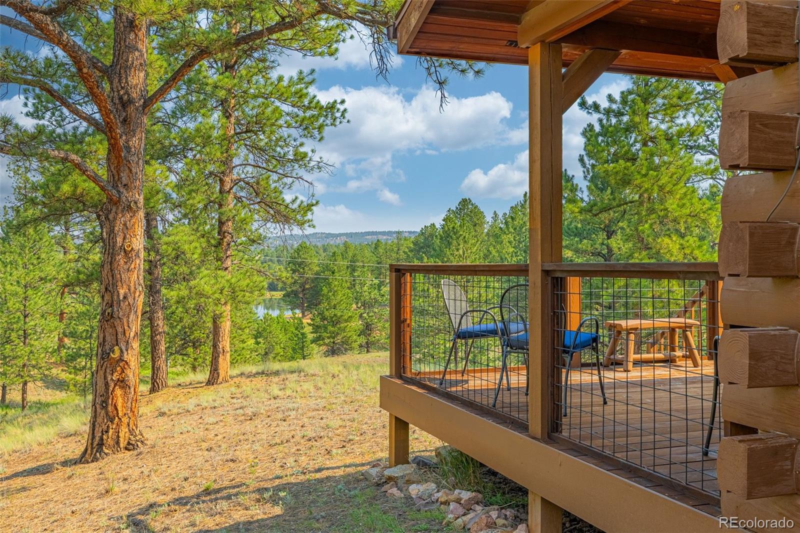 MLS Image #3 for 322  phoebus drive,florissant, Colorado