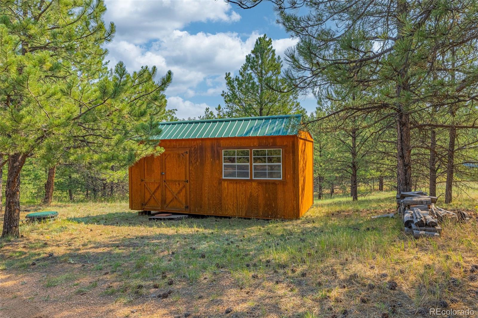 MLS Image #4 for 322  phoebus drive,florissant, Colorado