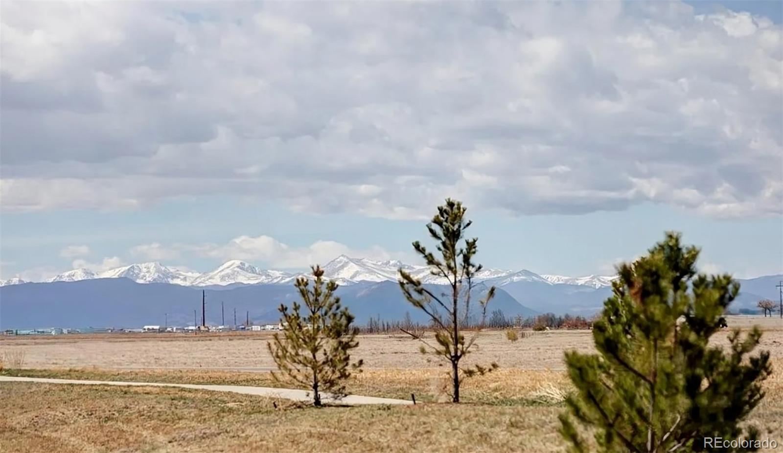 MLS Image #41 for 12965  grasslands street,, Colorado