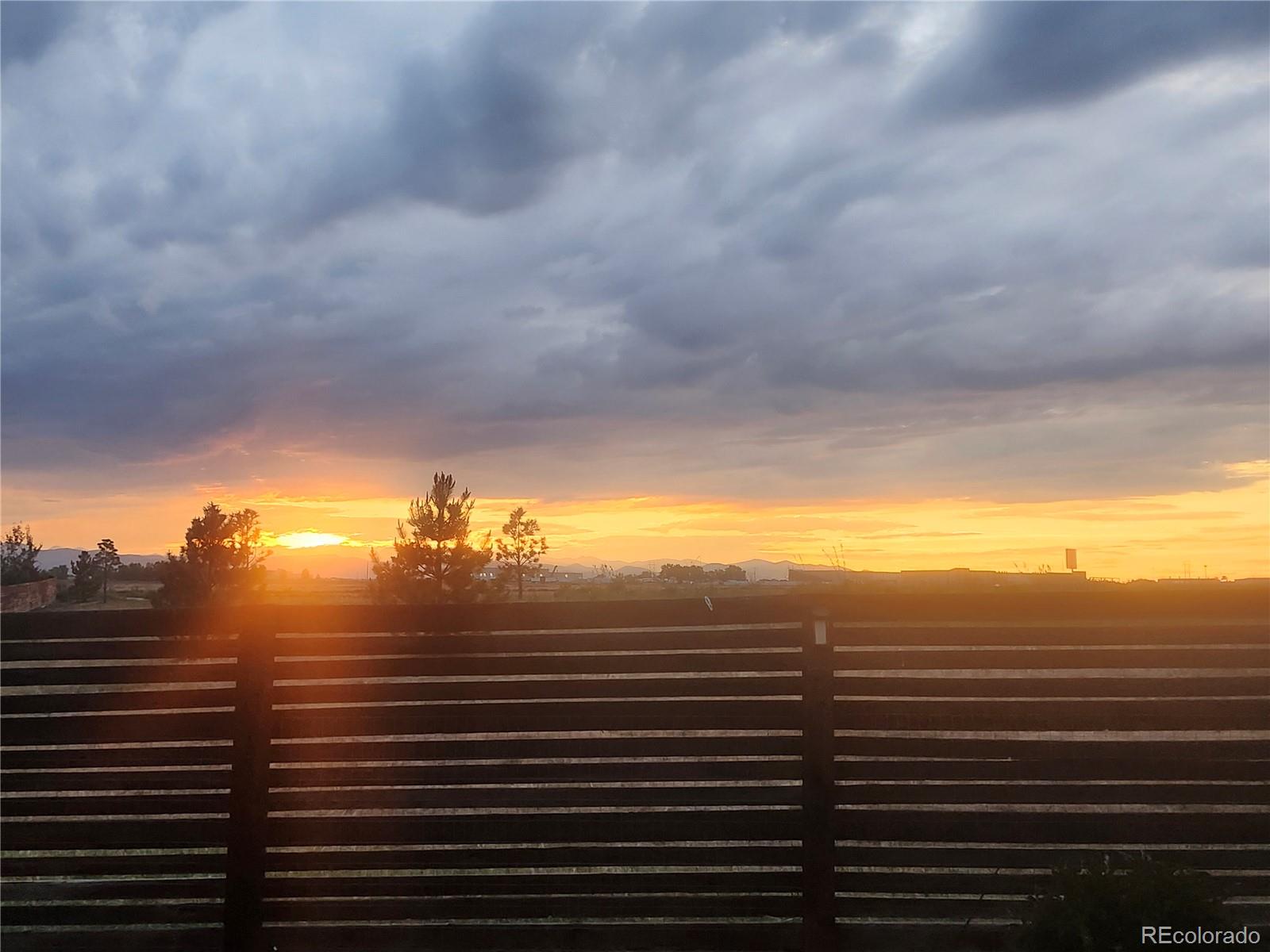 MLS Image #42 for 12965  grasslands street,, Colorado