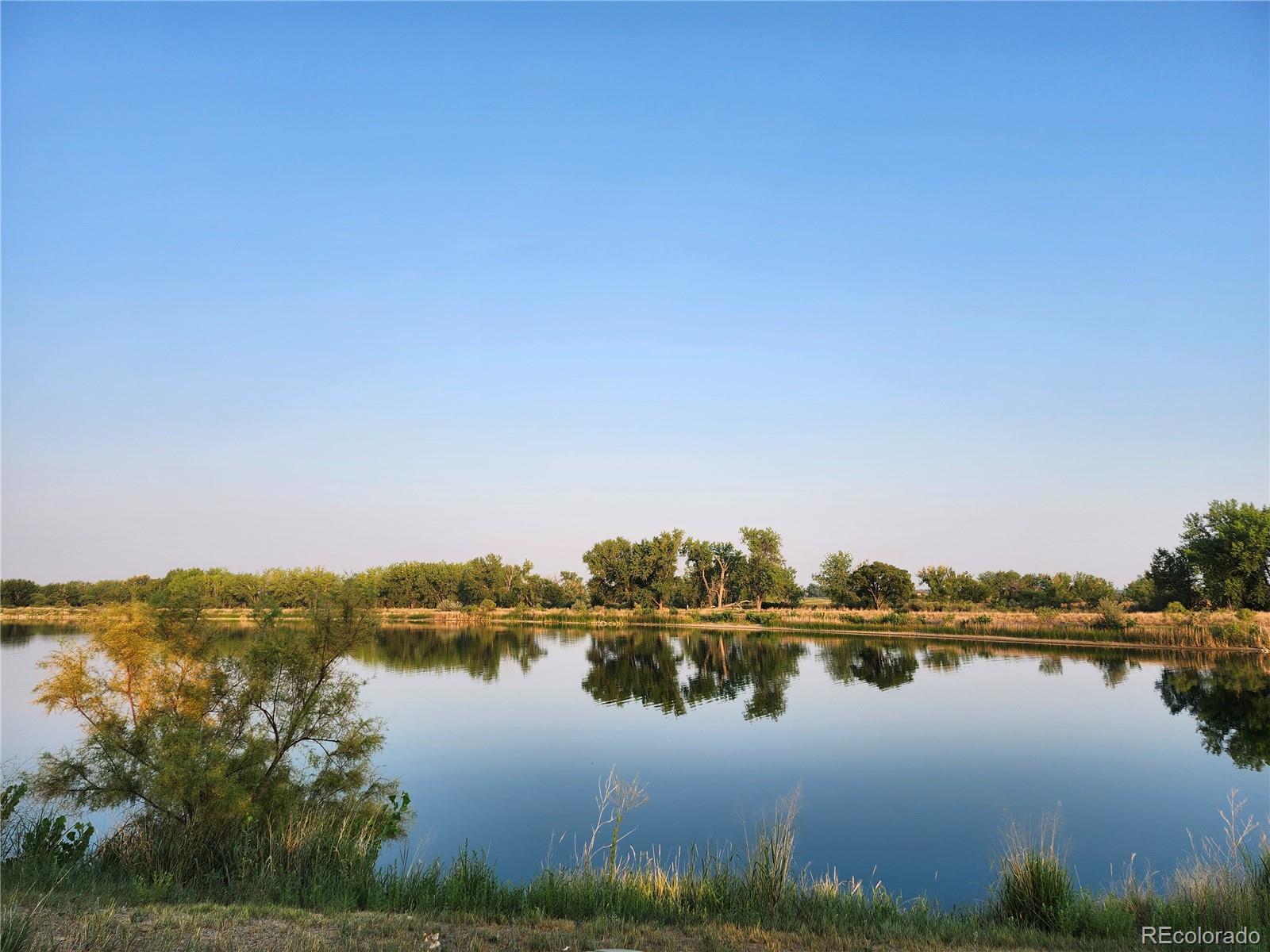 MLS Image #43 for 12965  grasslands street,, Colorado