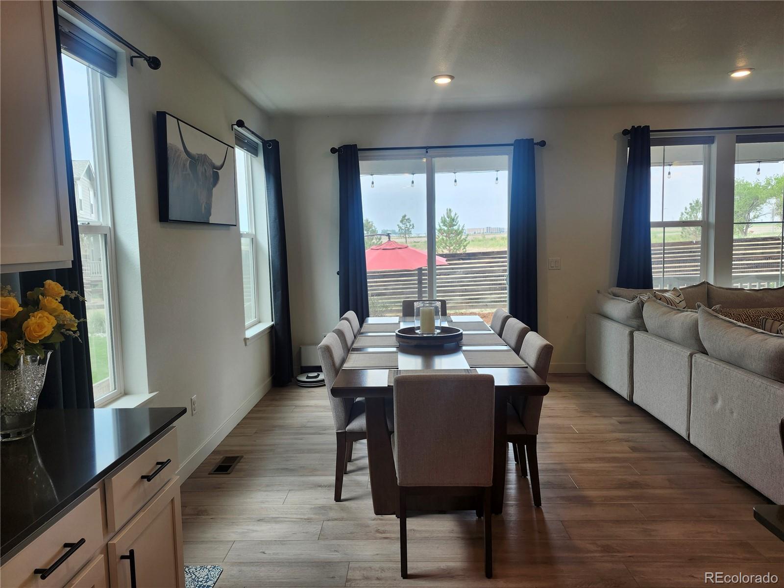 MLS Image #9 for 12965  grasslands street,, Colorado