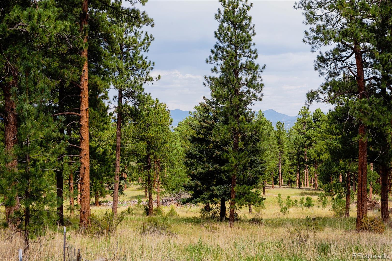 MLS Image #28 for 28114  tresine drive,evergreen, Colorado