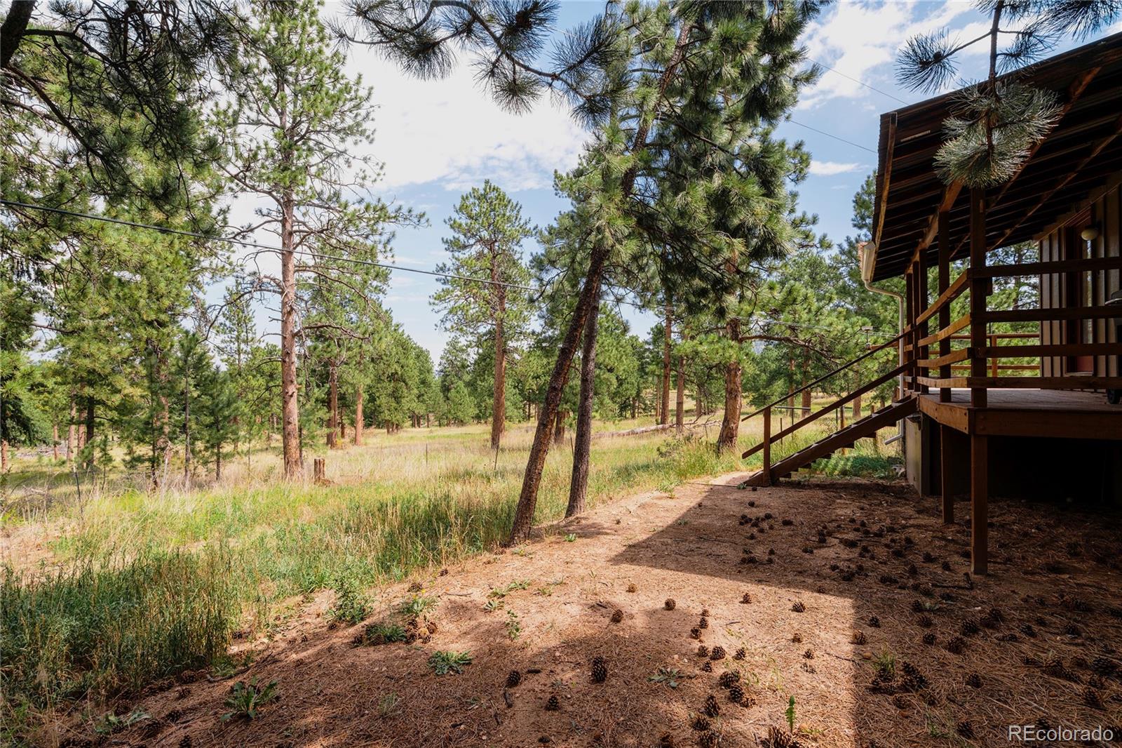 MLS Image #29 for 28114  tresine drive,evergreen, Colorado