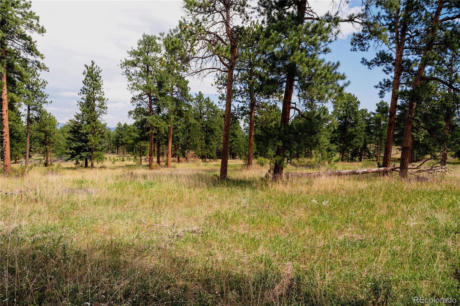 MLS Image #32 for 28114  tresine drive,evergreen, Colorado
