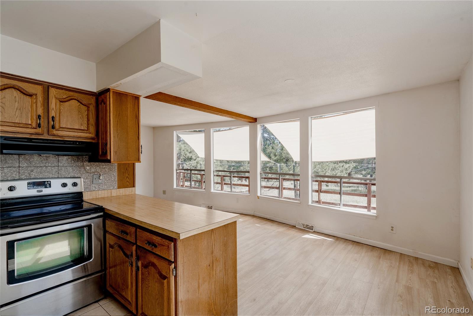 MLS Image #5 for 28114  tresine drive,evergreen, Colorado