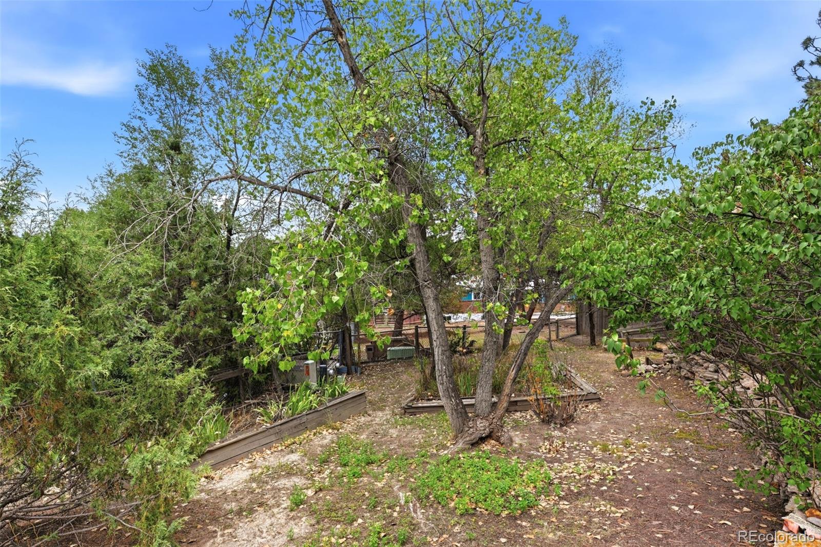 MLS Image #34 for 2718  northridge drive,colorado springs, Colorado
