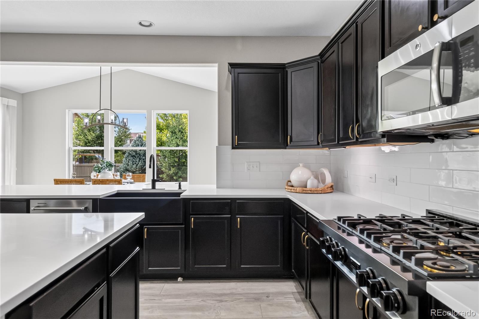 MLS Image #9 for 493  sudbury street,castle rock, Colorado