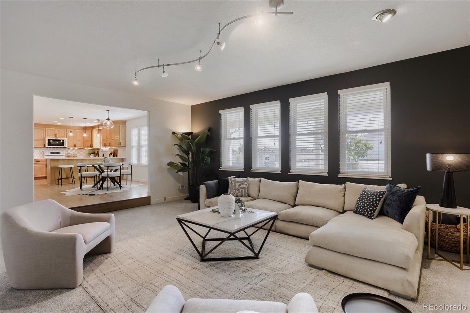 MLS Image #17 for 14048  downing street,brighton, Colorado
