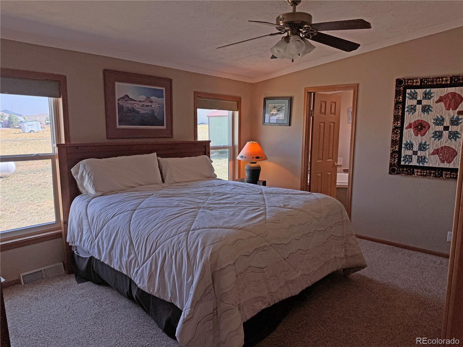 MLS Image #14 for 41  granada court,silver cliff, Colorado