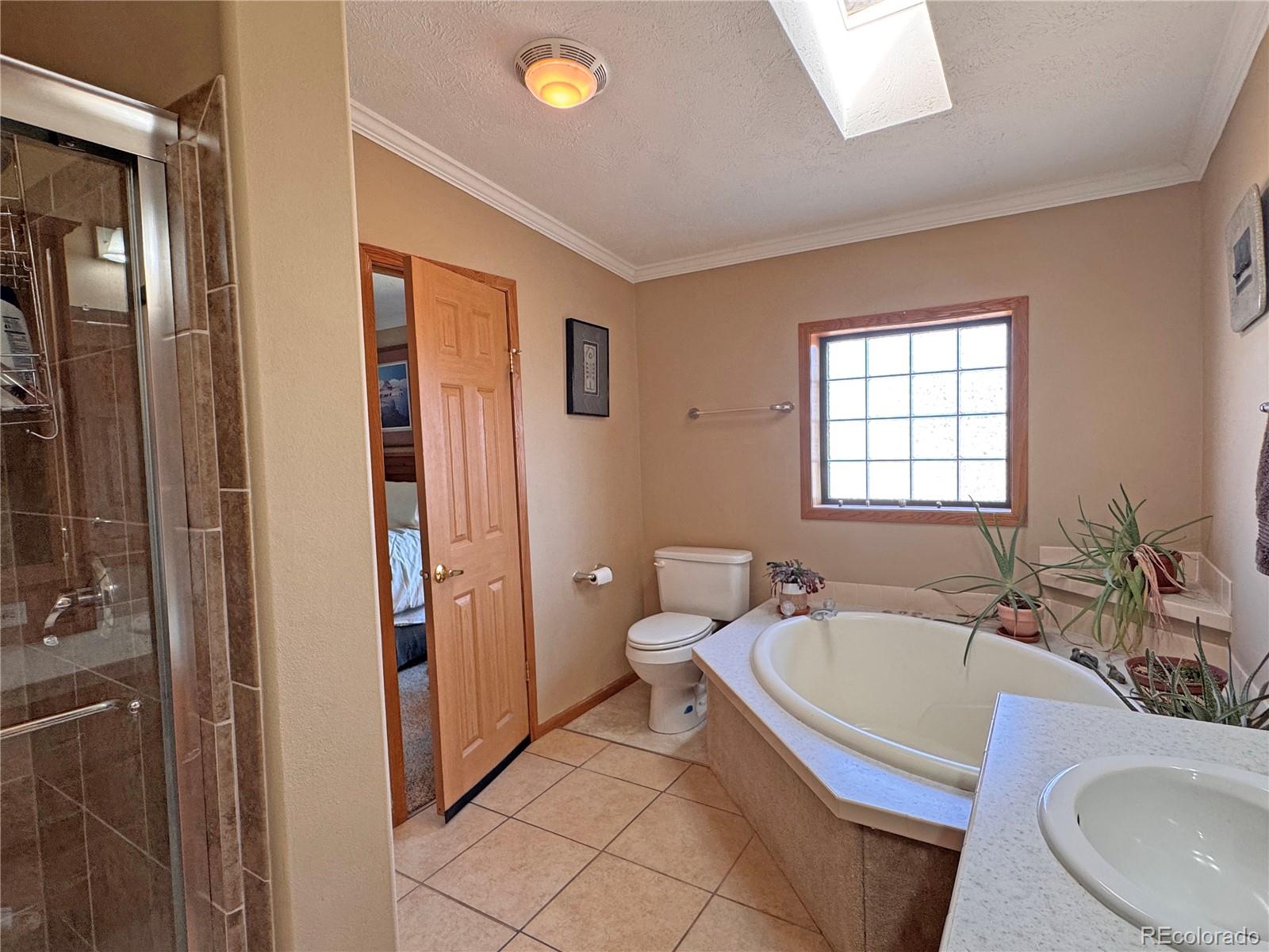 MLS Image #18 for 41  granada court,silver cliff, Colorado