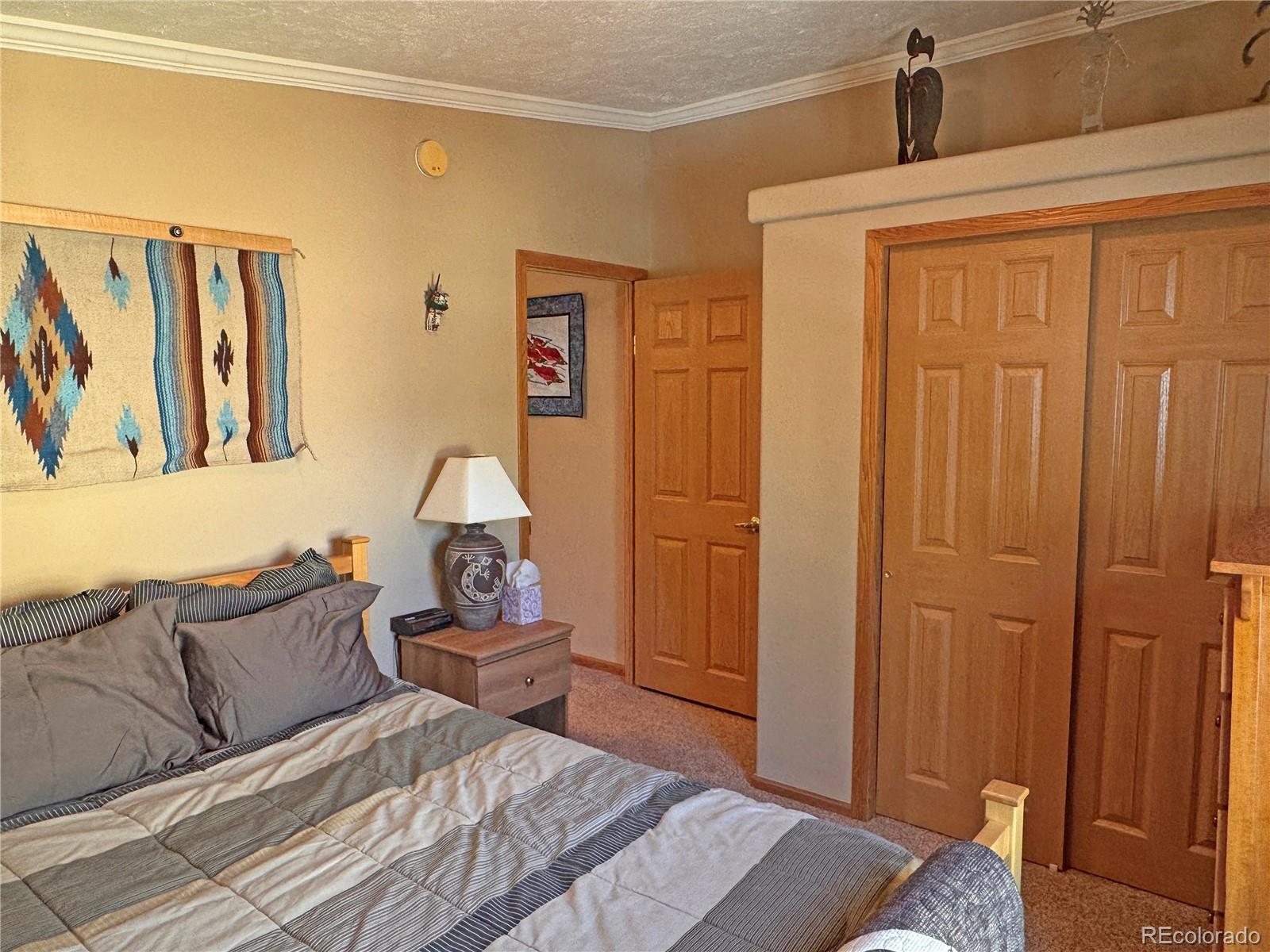 MLS Image #21 for 41  granada court,silver cliff, Colorado