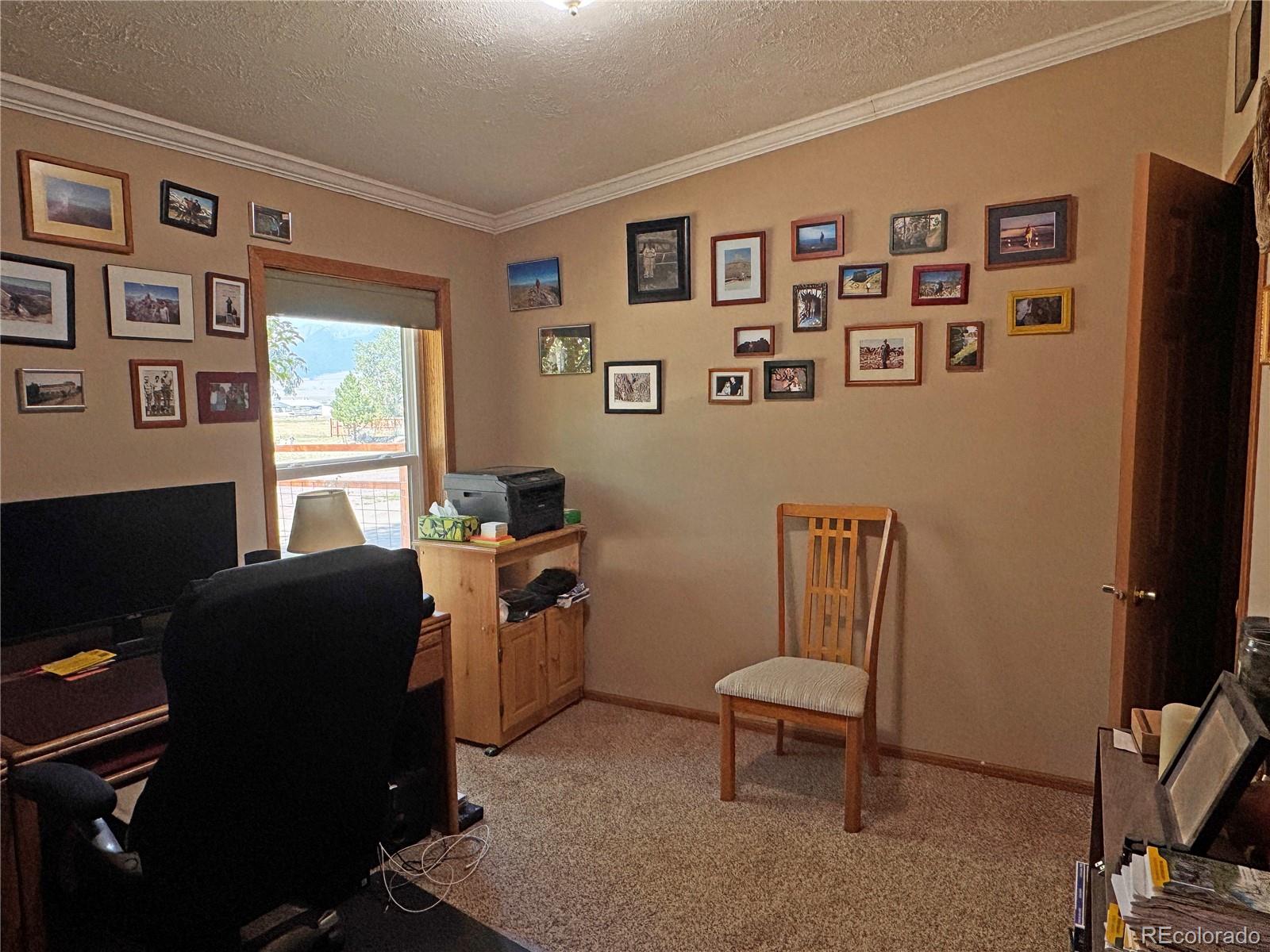 MLS Image #23 for 41  granada court,silver cliff, Colorado