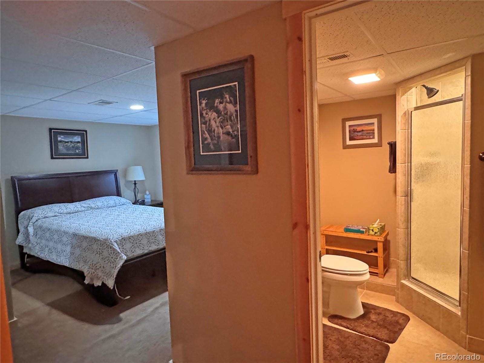 MLS Image #26 for 41  granada court,silver cliff, Colorado
