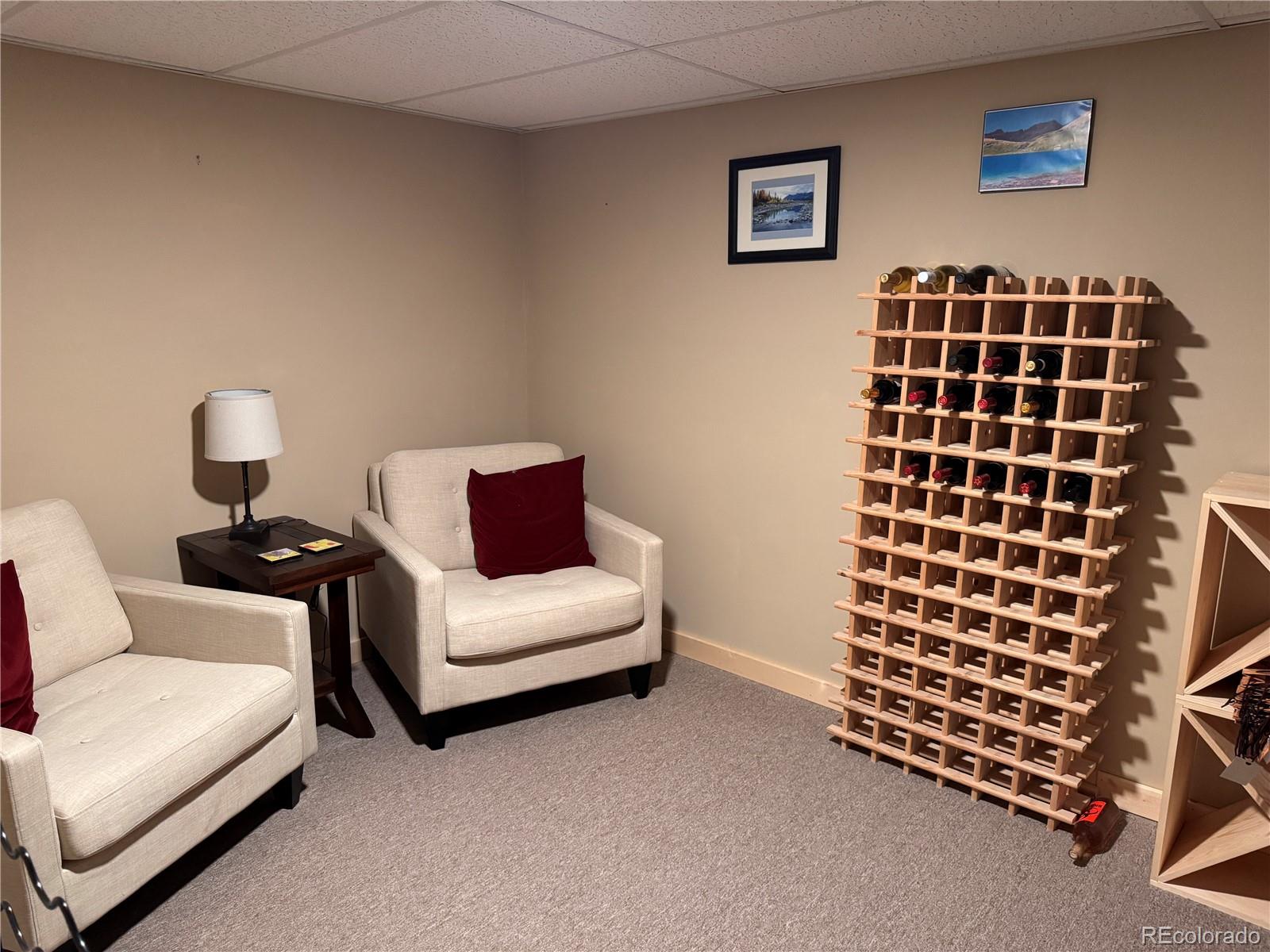 MLS Image #30 for 41  granada court,silver cliff, Colorado