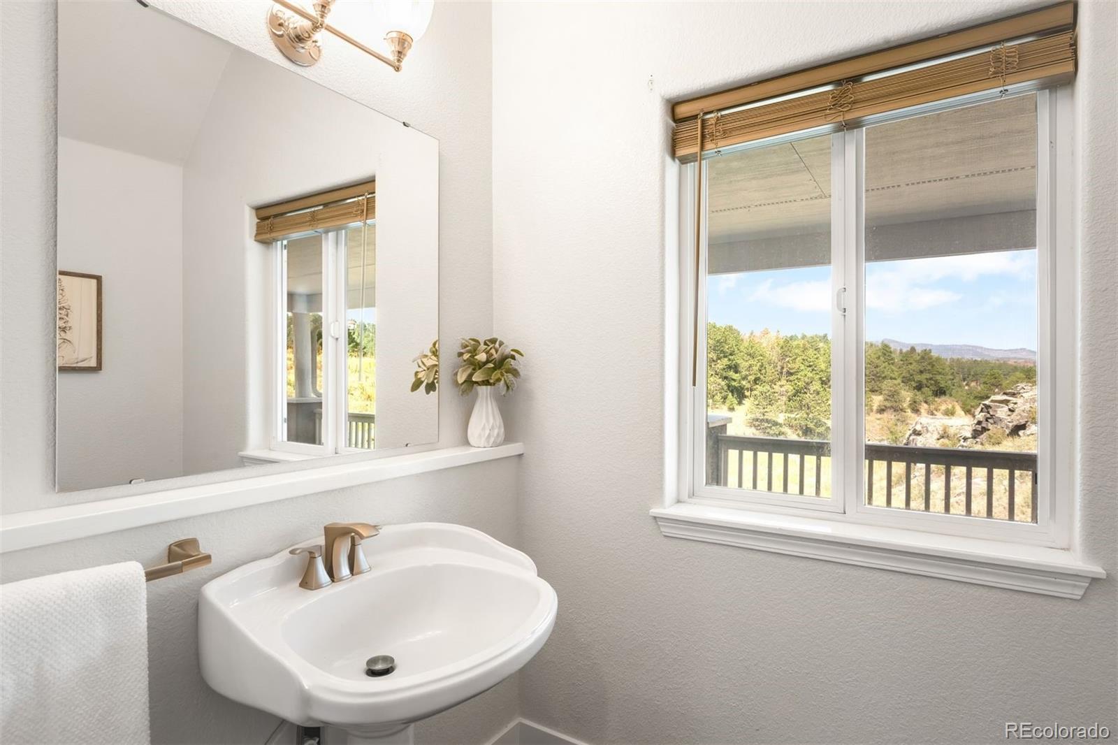 MLS Image #14 for 494  thunder road,evergreen, Colorado