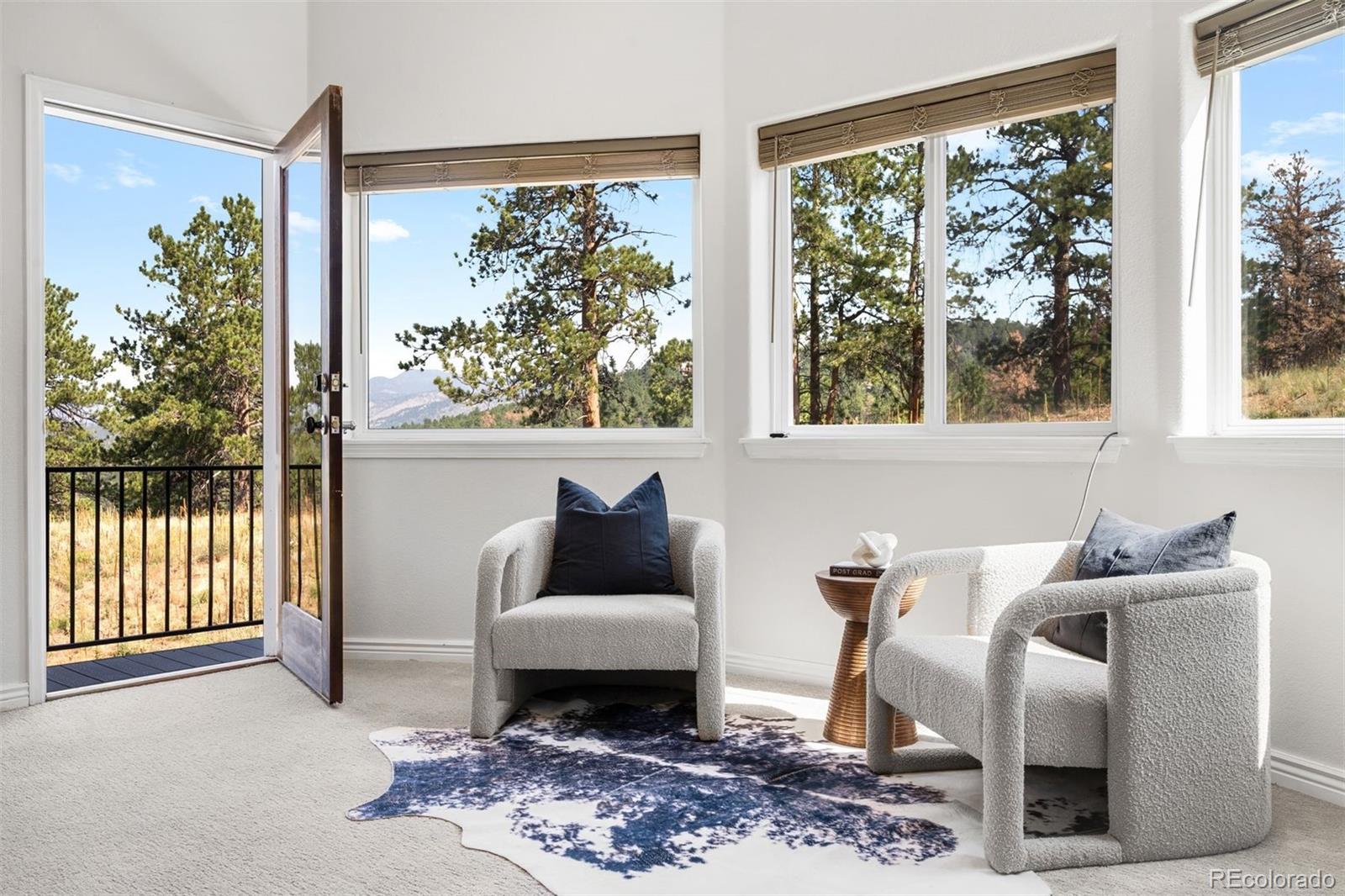 MLS Image #19 for 494  thunder road,evergreen, Colorado
