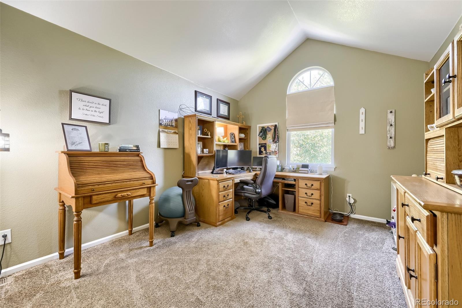 MLS Image #25 for 10117  grove loop,westminster, Colorado