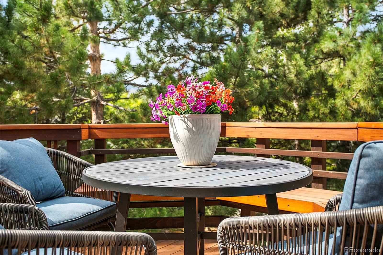 MLS Image #37 for 1418  pine view road,golden, Colorado
