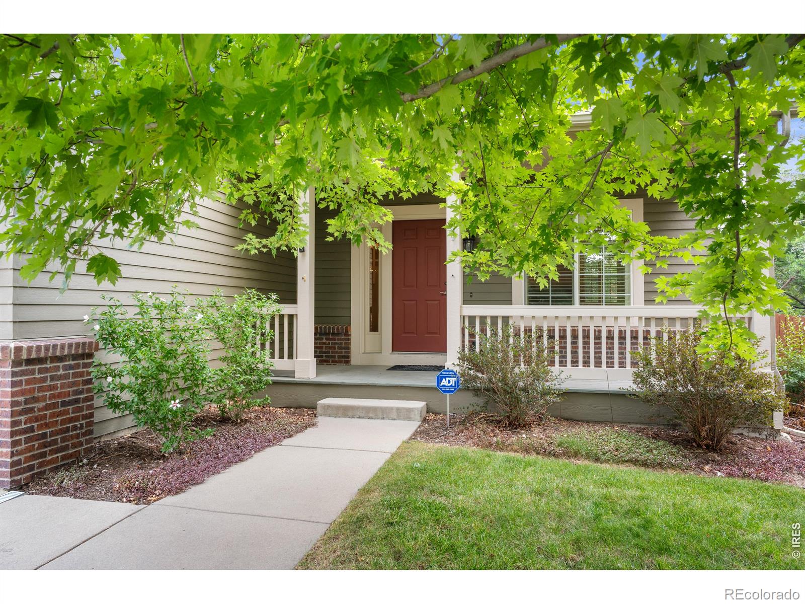 MLS Image #2 for 346  tynan drive,erie, Colorado