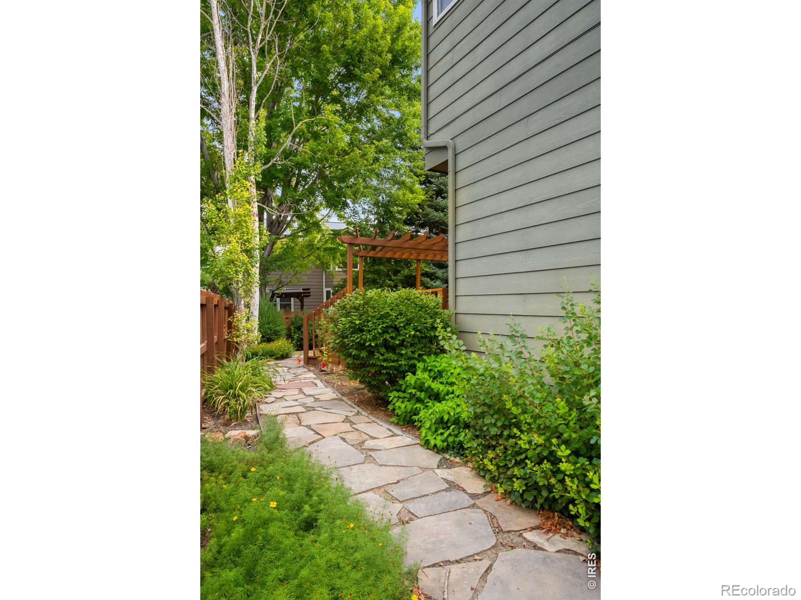 MLS Image #28 for 346  tynan drive,erie, Colorado