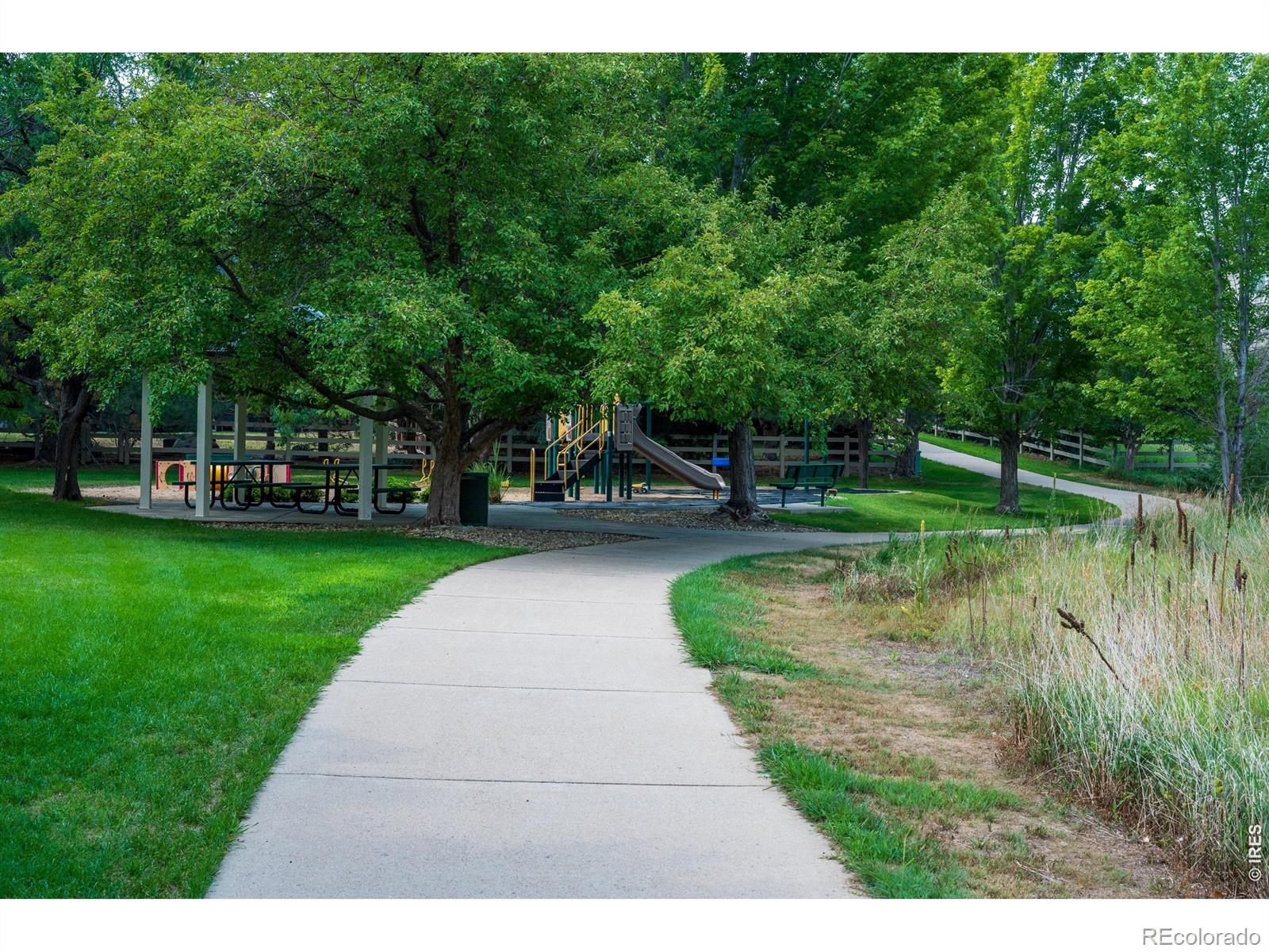 MLS Image #39 for 346  tynan drive,erie, Colorado