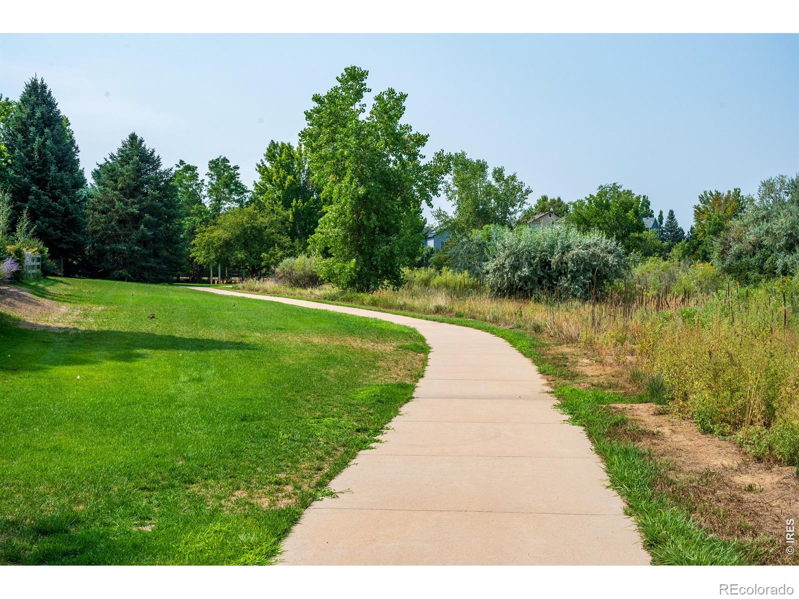 MLS Image #40 for 346  tynan drive,erie, Colorado