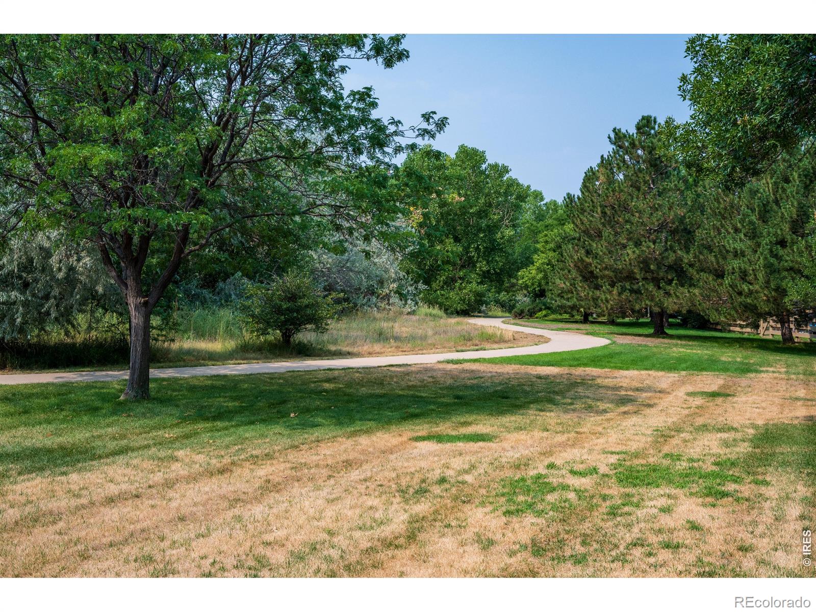MLS Image #41 for 346  tynan drive,erie, Colorado