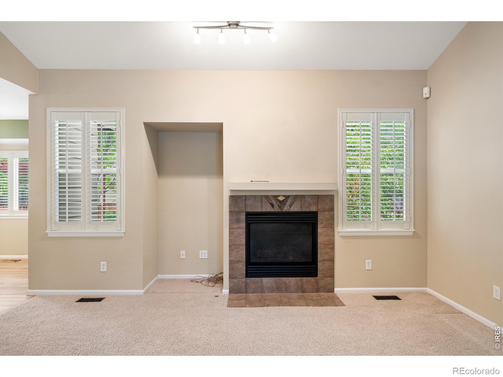 MLS Image #7 for 346  tynan drive,erie, Colorado
