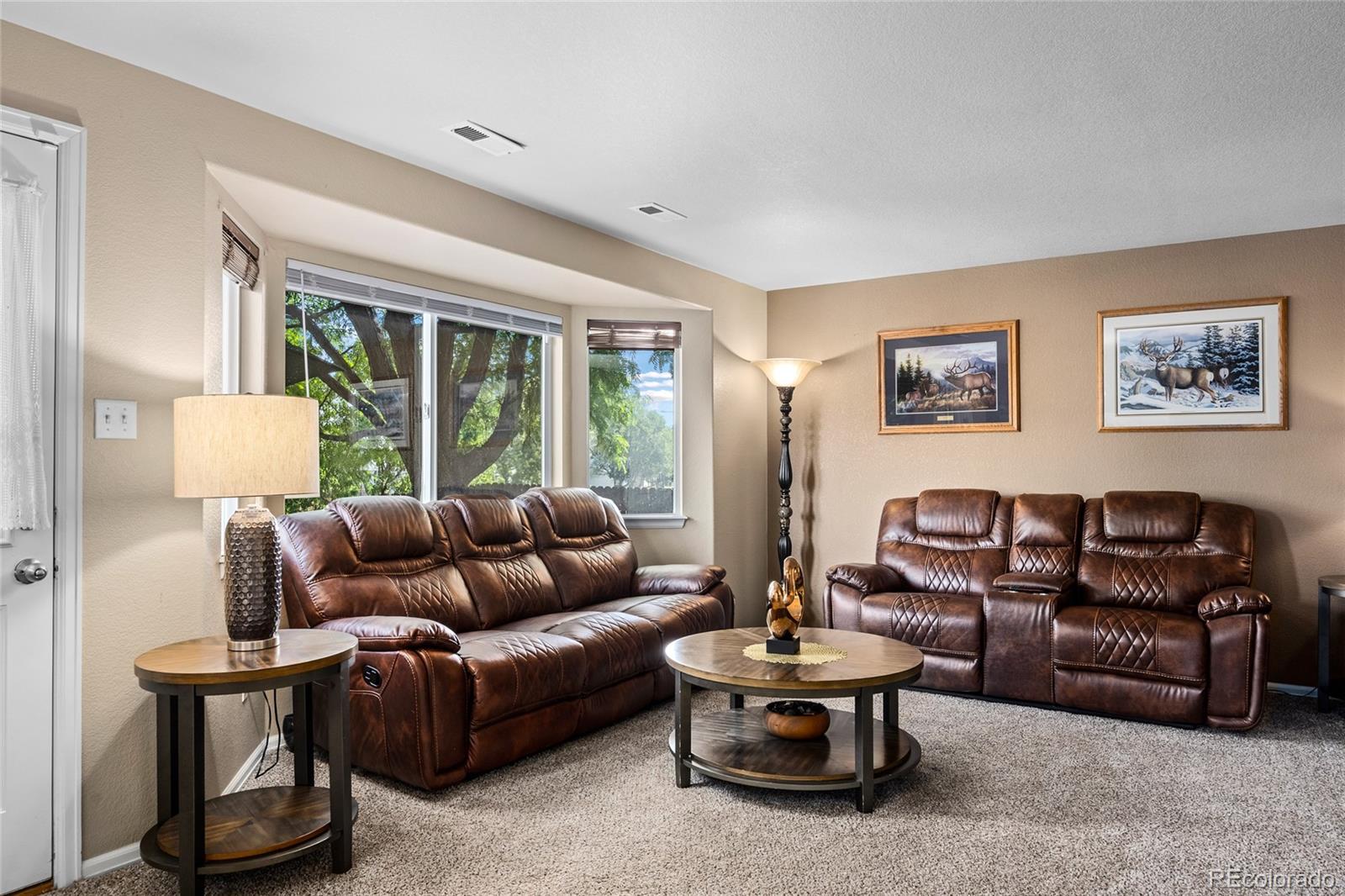 MLS Image #16 for 12960  hudson street,thornton, Colorado