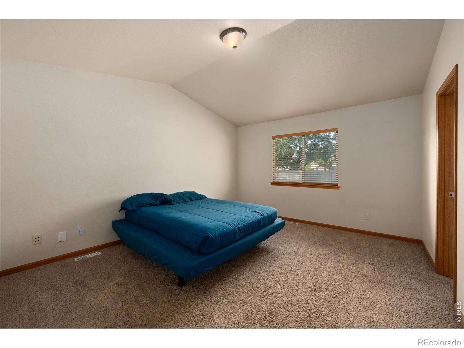 MLS Image #11 for 343  scotch pine court,severance, Colorado