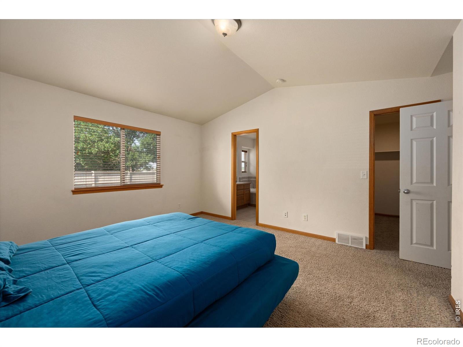 MLS Image #12 for 343  scotch pine court,severance, Colorado