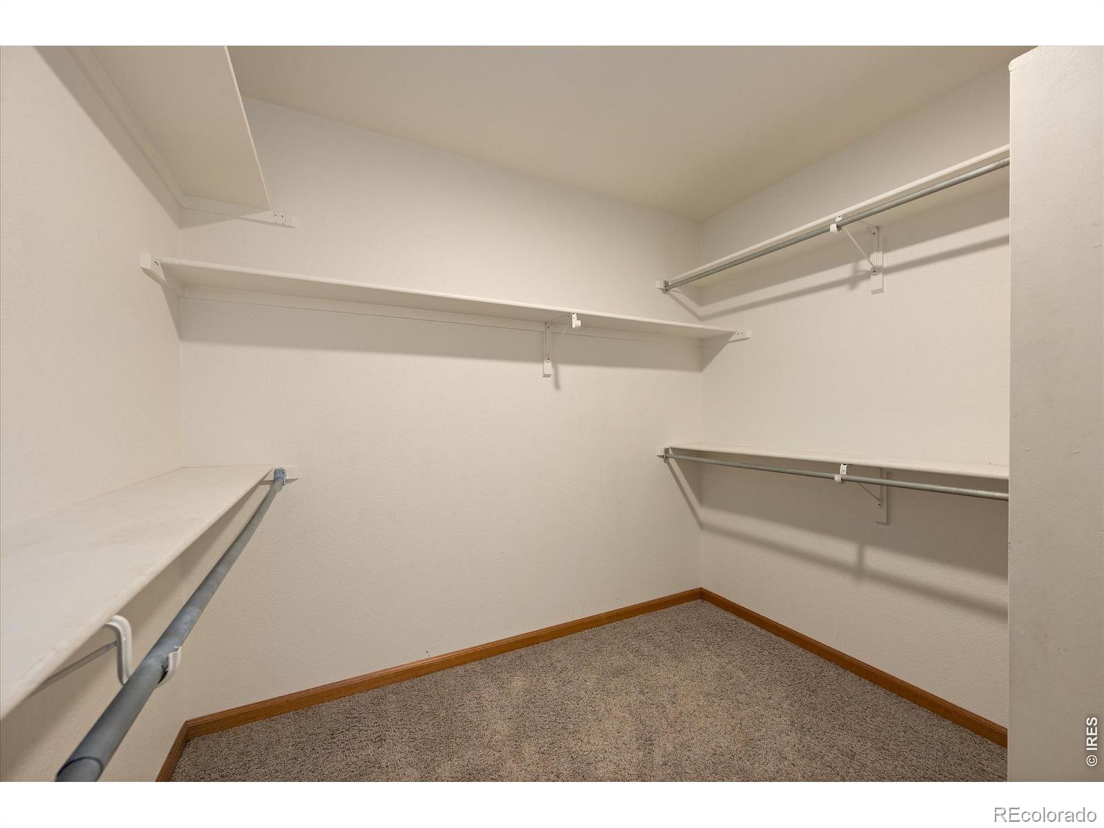 MLS Image #15 for 343  scotch pine court,severance, Colorado