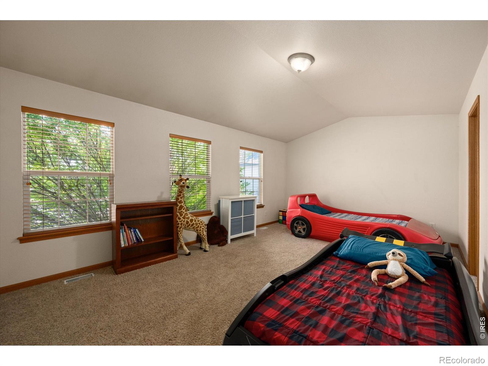 MLS Image #16 for 343  scotch pine court,severance, Colorado