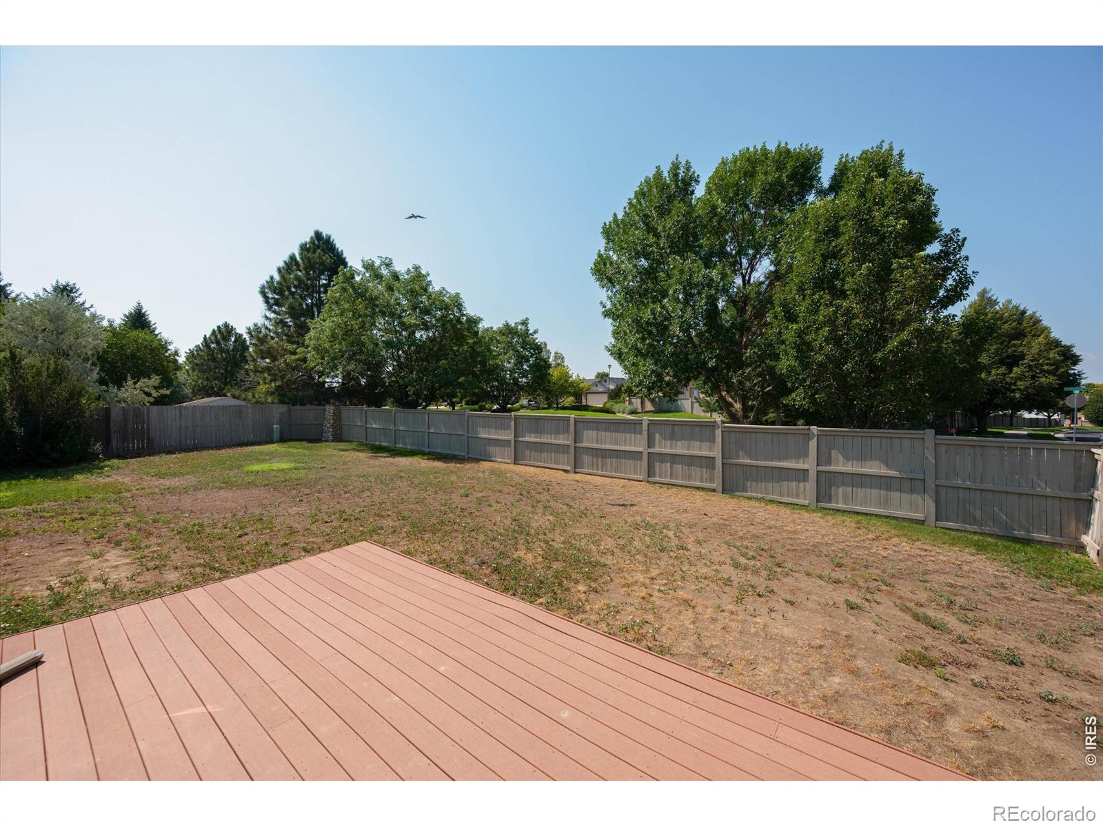MLS Image #29 for 343  scotch pine court,severance, Colorado